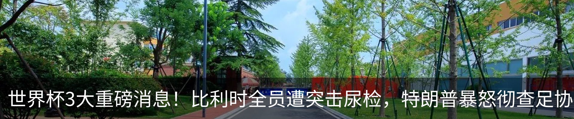 资讯动态