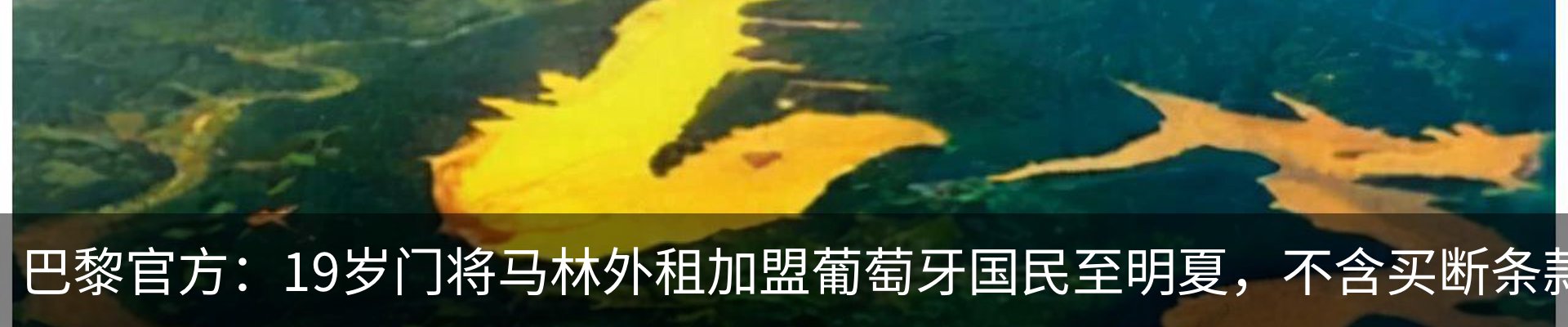 资讯动态